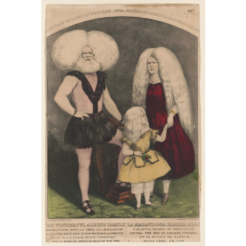 The Wonderful Albino Family / La Maravilosa Familia Albi Trimmed, 1860