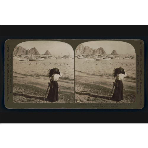 On The Beach, Avalon Bay, Catalina Island, California, U.S.A., 1906