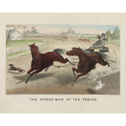 The Horse-Man Of The Period, 1877