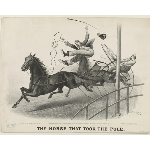 The Horse That Took The Pole, 1875