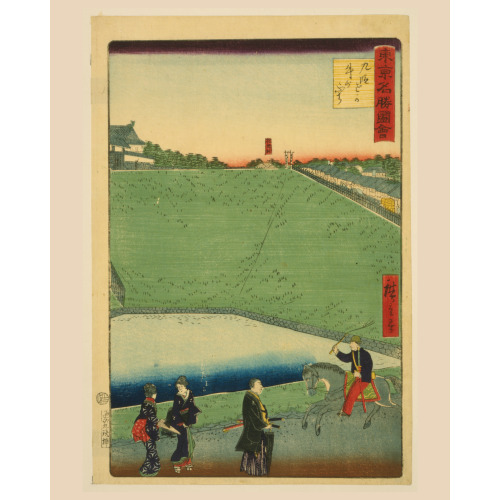 Tokyo Meisho Zue: Kudanzaka Ushigabuchi, 1870