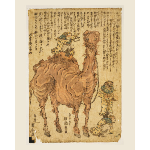 Camel, 1824