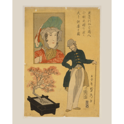 Amerika No Shonin Shoju No Sakura O Motomete Oi Ni Kanki No Zu, 1861