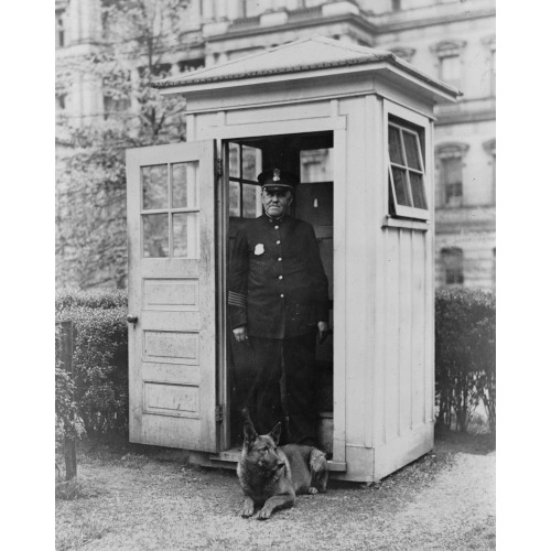 King Tut, The President's Belgian Police Dog, 1929