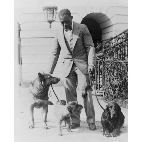 The White House Dogs King Tut, Whoopie, And Englehurst Gillette, 1929
