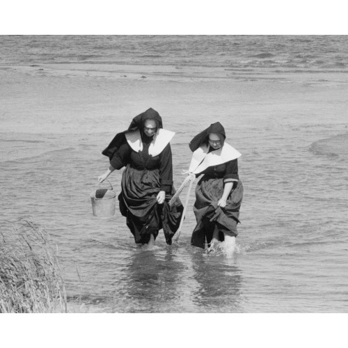 Nuns Clamming On Long Island, 1957