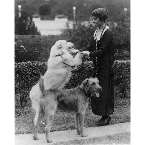 Grace Coolidge With Two Dogs, Holding The Front Paws Of One, 1924