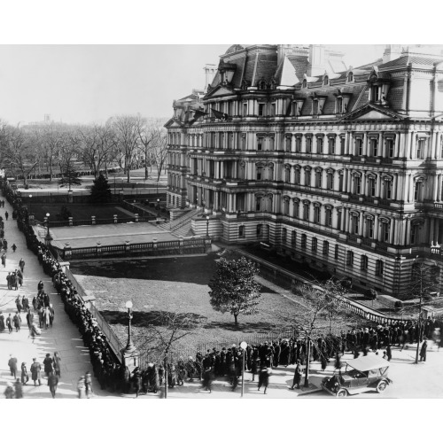 Photo Showing A Portion Of The Line Waiting Admission To The White House Today, 1922