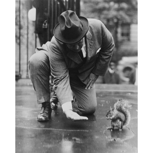 Pete, Pet Squirrel At The Executive Mansion, Is Causing Laddie Boy To Look To His Laurels, 1922