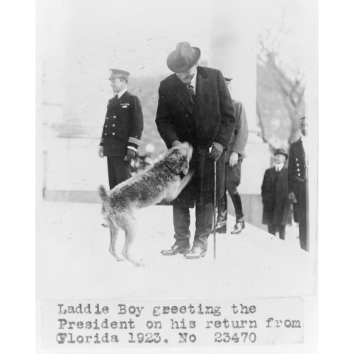 Laddie Boy Greeting The President On His Return From Florida, 1923