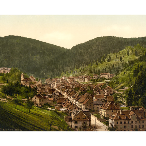 Treiberg, General View, Black Forest, Baden, Germany, circa 1890