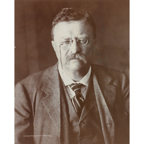 Theodore Roosevelt, 1858-1919