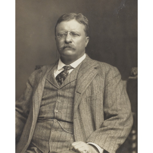 Theodore Roosevelt, Half-Length Portrait, Seated, Facing Slightly Left, 1911