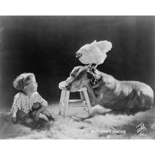 Large Dog Resting Front Paws And Head On Footstool, Chicken Perched On Dog's Collar, Small Child...