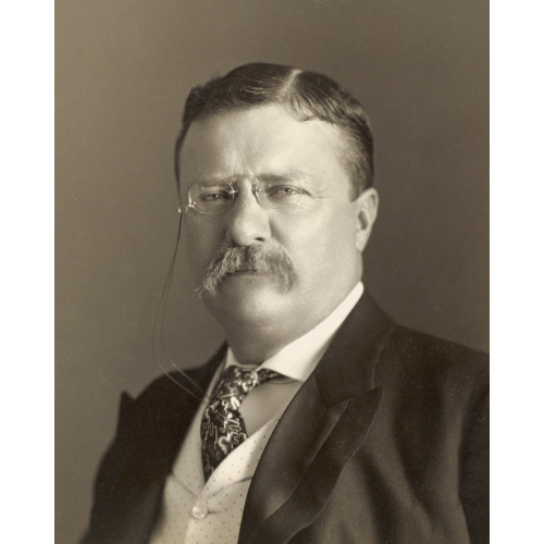 Theodore Roosevelt, Pres. U.S., 1858-1919