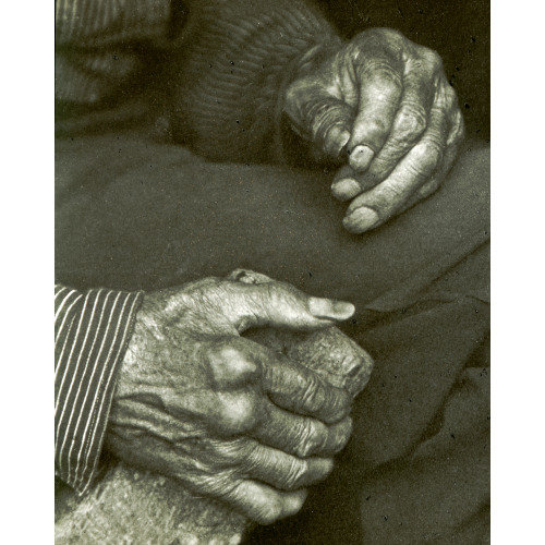 Laborer's Hands, 1925