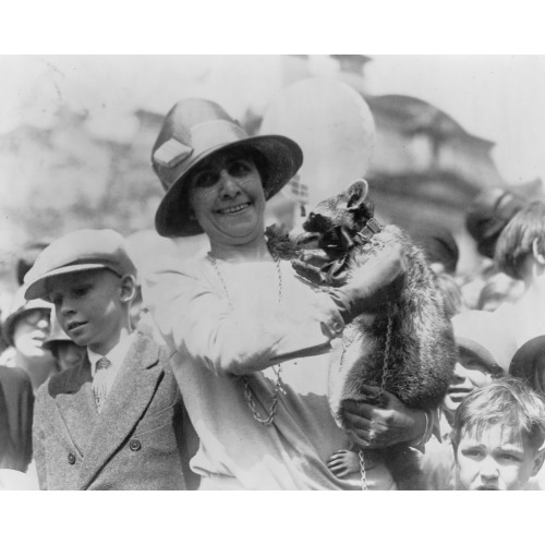 Mrs. Coolidge Exhibits Her Pet Raccoon Rebecca To Crowds Of Children Gathered For Easter Egg...