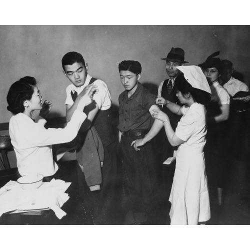 San Francisco, Calif., Apr. 1942 - Evacuees Of Japanese Descent Being Inoculated As They...