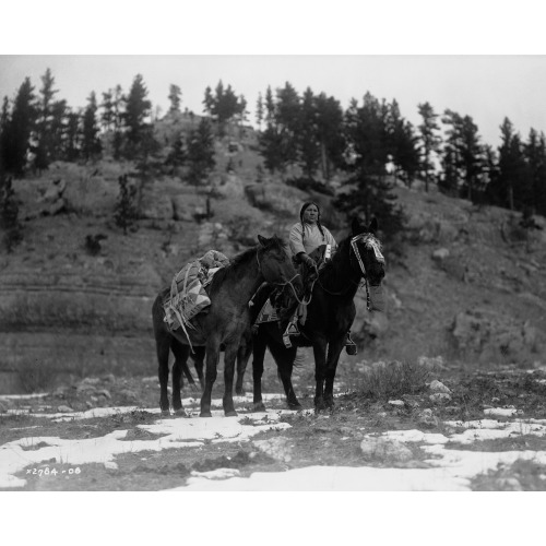 Pack Horse i.e., Packhorse--Apsaroke, 1908