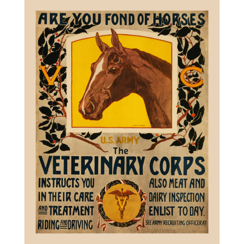 Are You Fond of Horses, U.S. Army Veterinary Corps, 1919