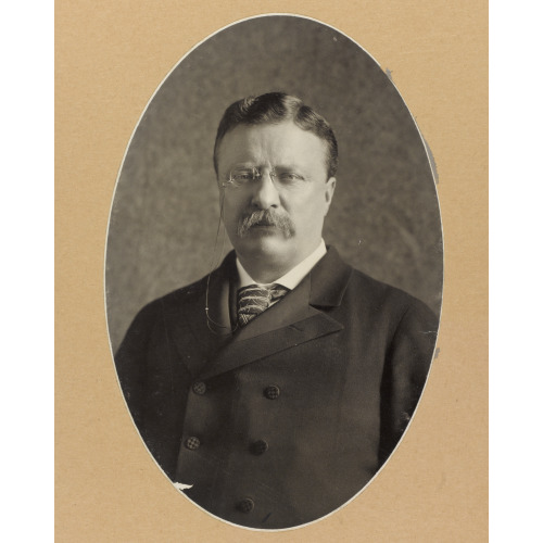 Theodore Roosevelt, 1904
