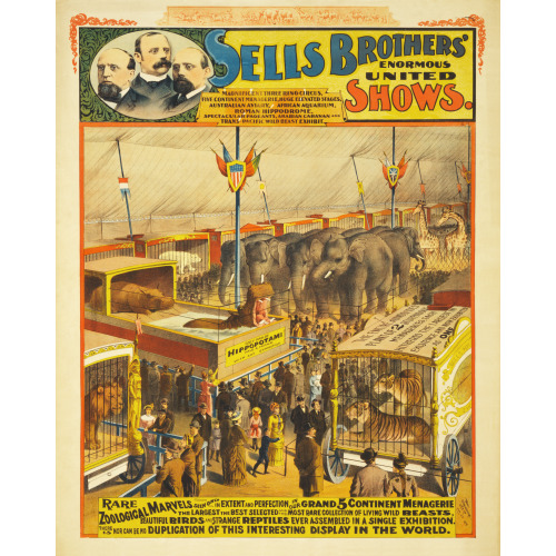 Sells Brothers' Enormous United Shows, Rare Zoological Marvels, circa 1895