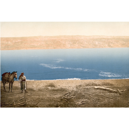 Man With Horse Standing Near The Dead Sea, 1890