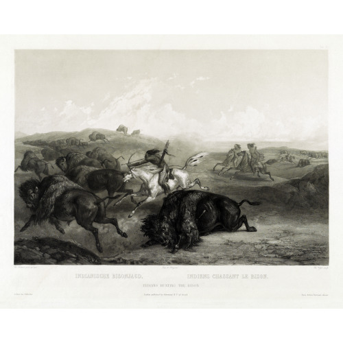 Indians Hunting Bison, Indianische Bisonjagd