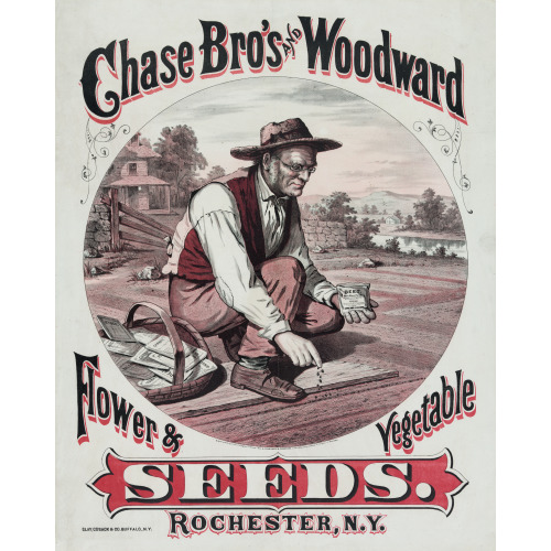 Chase Bro.'s And Woodward. Flower & Vegetable Seeds
