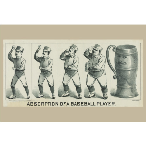 Absorption Of A Baseball Player