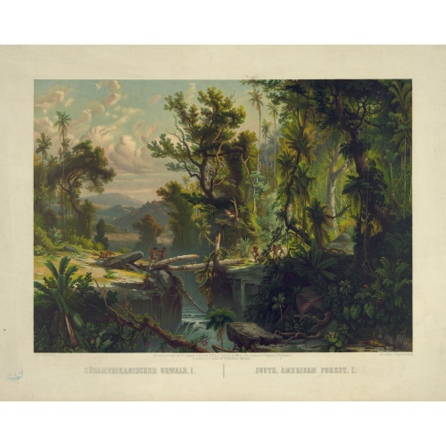 South American Forest I, 1873