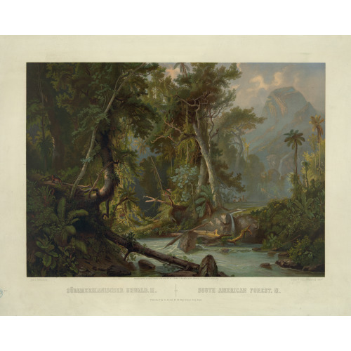 South American Forest. II, 1873