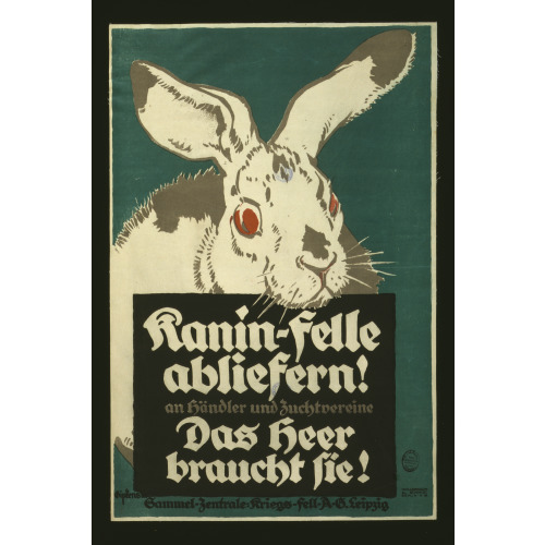 Kanin-Felle Abliefern, An Handler Und Zuchtvereine, 1917