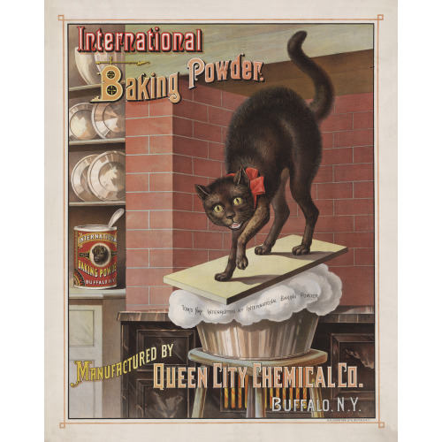 International Baking Powder. Manufactured By Queen City Chemical Co., Buffalo, New York, 1885