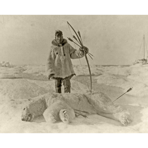 Eskimo Hunter And Polar Bear Slain With Bow And Arrow, 1924