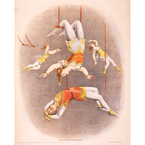 Male And Female Trapeze Performers, 1875