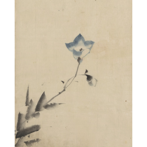 Blue Blossom At The End Of A Stem, circa 1830