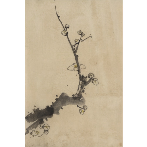 Fruit Tree Branch With Blossoms, circa 1830