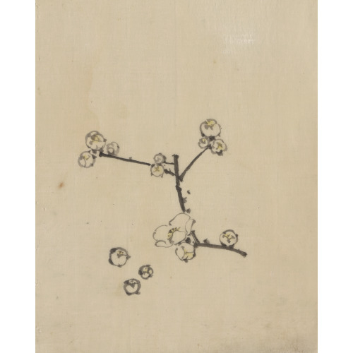 A Tree Branch With Blossoms, circa 1830