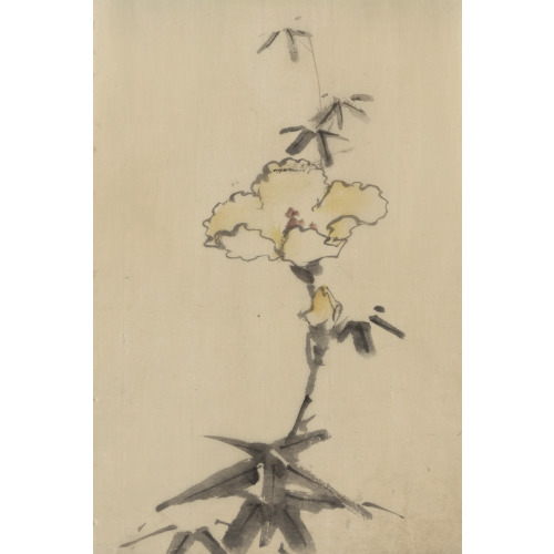 Yellow Blossom With Bud On A Stalk Above Leaves, circa 1830