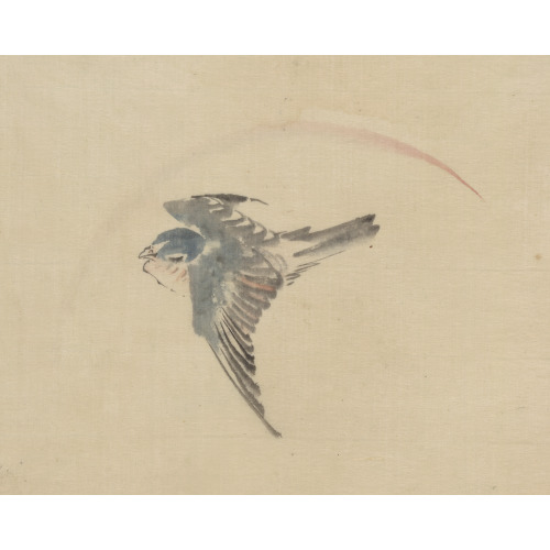 A Bird Flying To The Left, Seen From Above, circa 1830