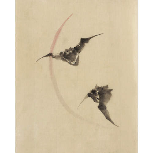 Two Bats Flying, circa 1830