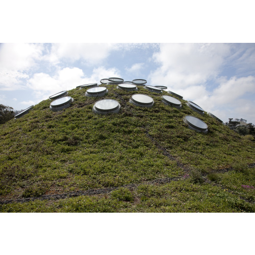 Living Roof, California National Academy Of Sciences, San Francisco