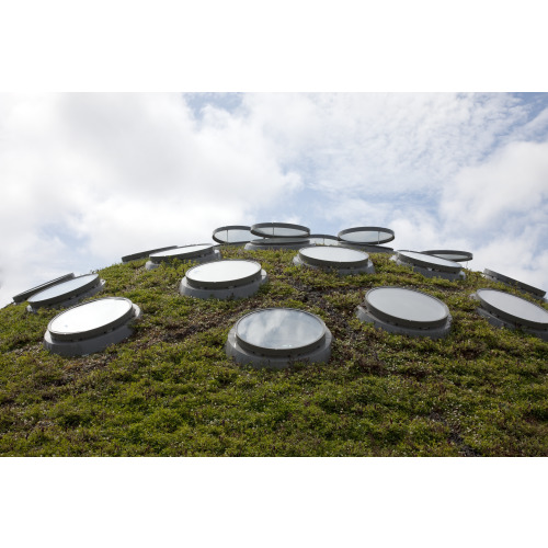 Living Roof, California Academy Of Sciences, San Francisco