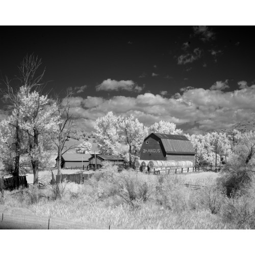 Barn, Rural Montana, View 1