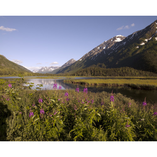 View from Seward Highway, Chugach National Forest, Alaska, View 3