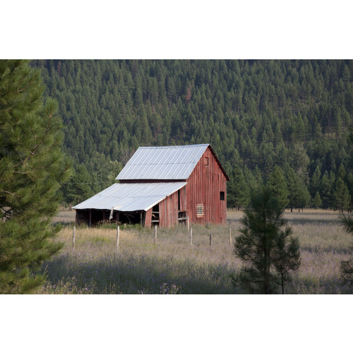 Barn, Rural Washington, 2009