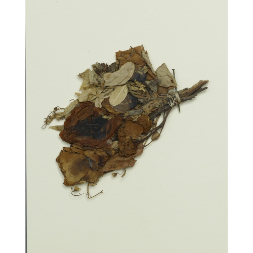 Dried Flowers From The Funeral Of Abraham Lincoln