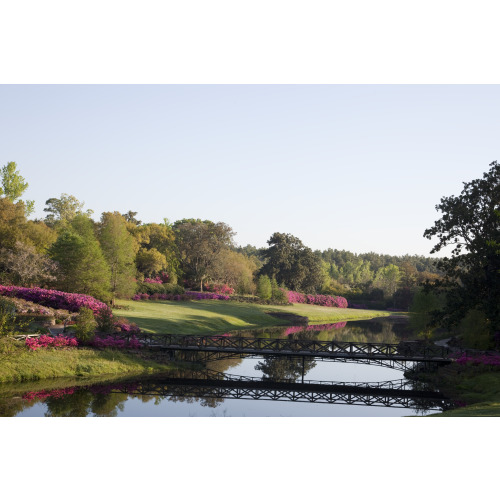 Bellingrath Gardens And Home, Theodore, Alabama, View 21