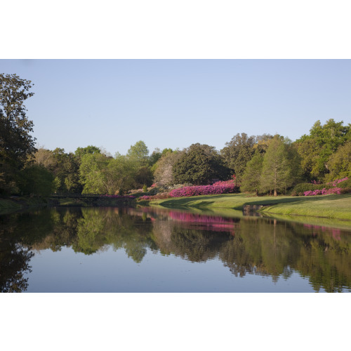 Bellingrath Gardens And Home, Theodore, Alabama, View 23